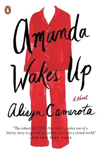 Cover of Amanda Wakes Up