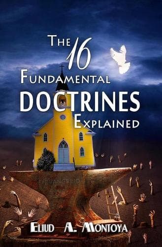 Cover of The 16 Fundamental Doctrines Explained