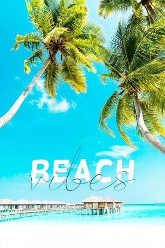 Cover of Beach Vibes