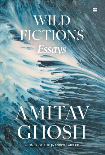 Cover of Wild Fictions