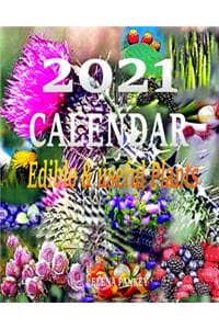 Cover of Calendar 2021