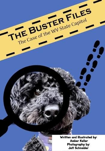 Cover of The Buster Files