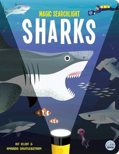 Cover of Magic Searchlight - Sharks
