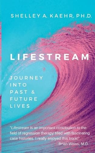 Cover of Lifestream