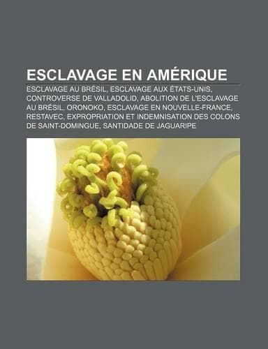 Cover of Esclavage En Amerique