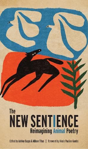 Cover of The New Sentience