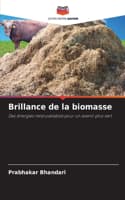 Cover of Brillance de la biomasse