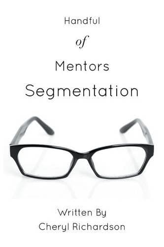 Cover of Handful of Mentors Segmentation
