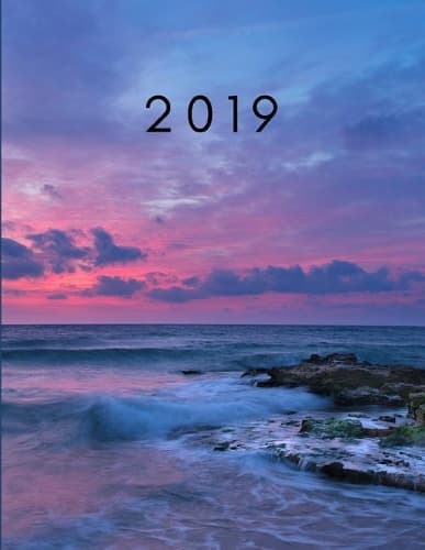 Cover of 2019