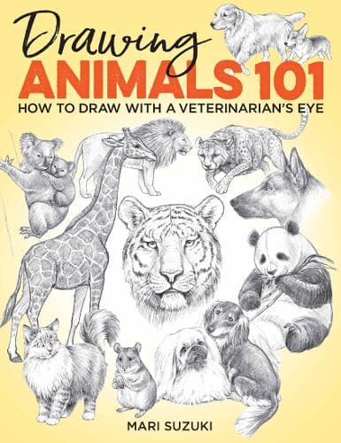Cover of Drawing Animals 101