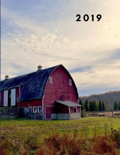 Cover of 2019