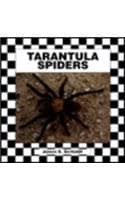 Cover of Tarantula Spiders