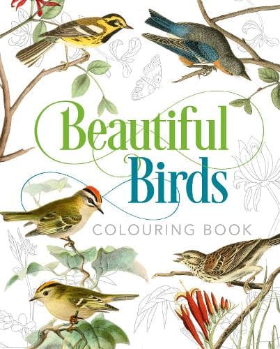Cover of Beautiful Birds Colouring Book