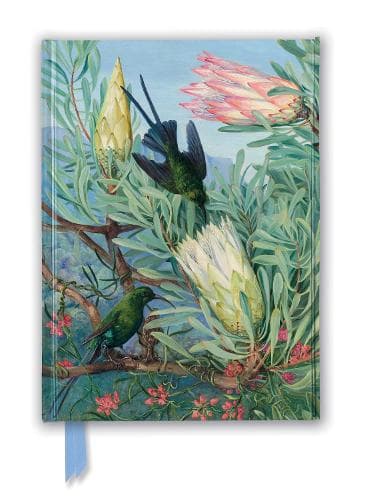 Cover of Kew Gardens: Marianne North: Honeyflowers and Honeysuckers (Foiled Journal)