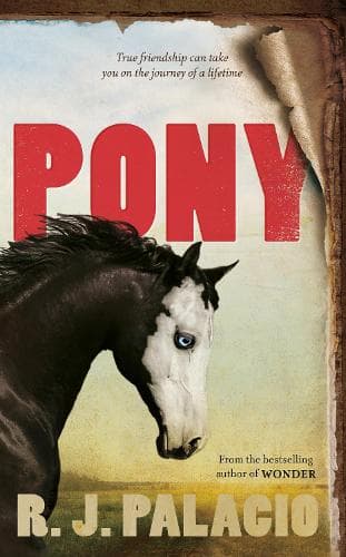 Cover of Pony