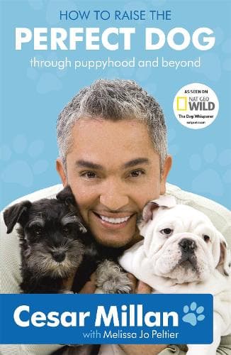 Cover of How to Raise the Perfect Dog