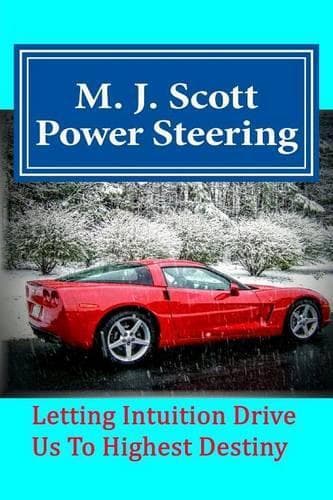 Cover of Power Steering