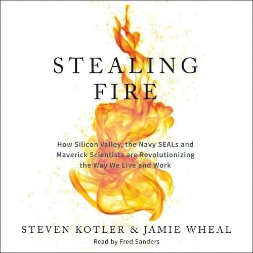 Cover of Stealing Fire