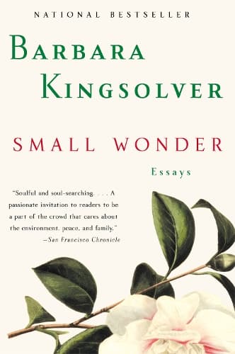Cover of Small Wonder