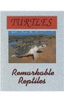 Cover of Turtles