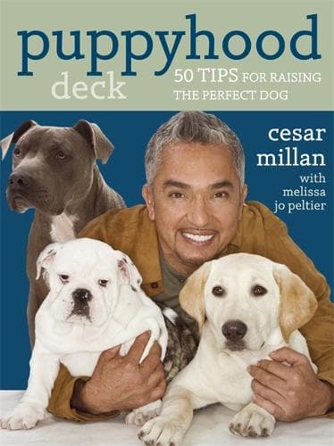 Cover of Puppyhood Deck: 50 tips for raising the perfect dog