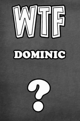 Cover of Wtf Dominic ?