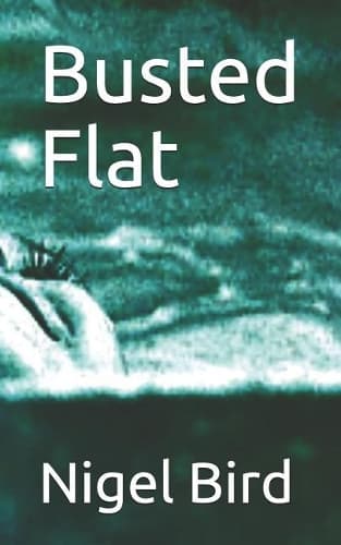 Cover of Busted Flat