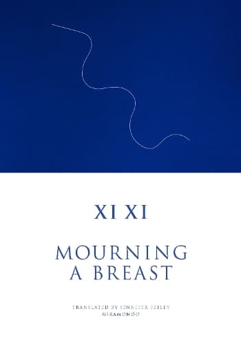 Cover of Mourning a Breast