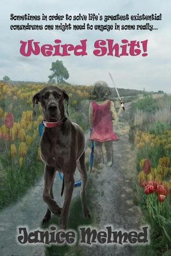 Cover of Weird Shit!