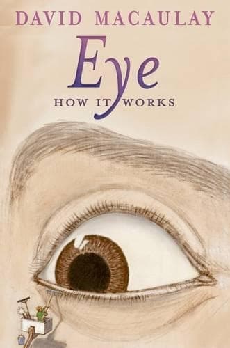 Cover of Eye: How It Works
