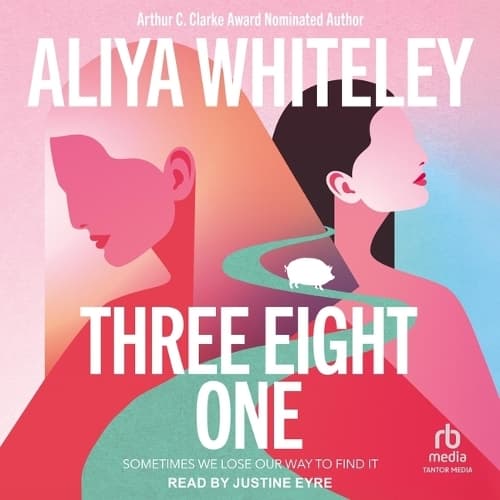Cover of Three Eight One