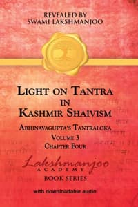 Cover of Light on Tantra in Kashmir Shaivism - Volume 3