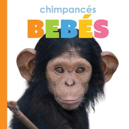 Cover of Chimpances Bebes