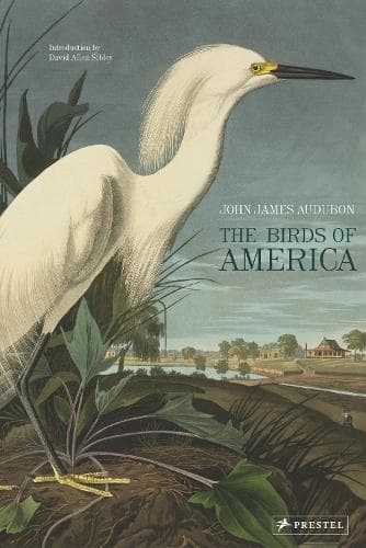 Cover of The Birds of America