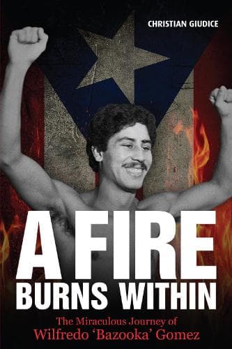 Cover of A Fire Burns Within