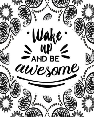 Cover of Wake Up and be awesome