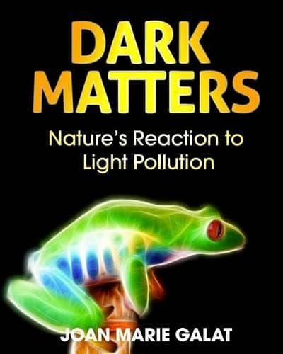 Cover of Dark Matters