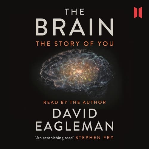 Cover of The Brain