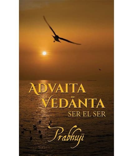 Cover of Advaita Vedanta