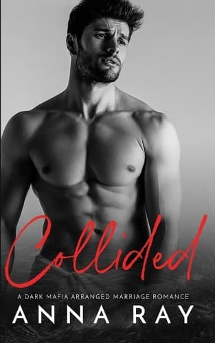 Cover of Collided