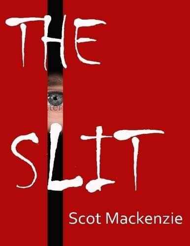 Cover of The Slit