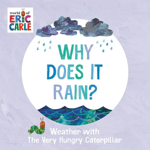 Cover of Why Does It Rain?