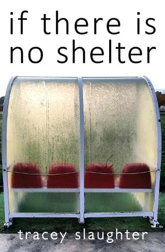 Cover of if there is no shelter