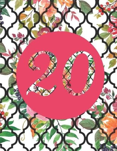 Cover of 20