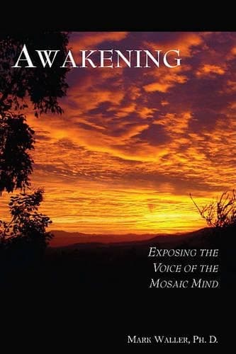 Cover of Awakening