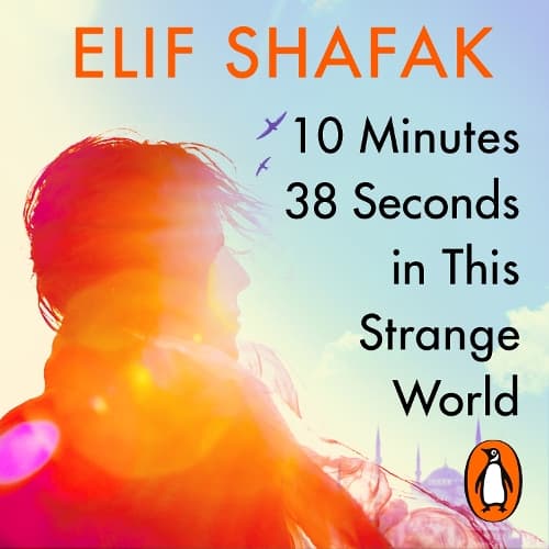 Cover of 10 Minutes 38 Seconds in this Strange World