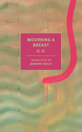Cover of Mourning a Breast