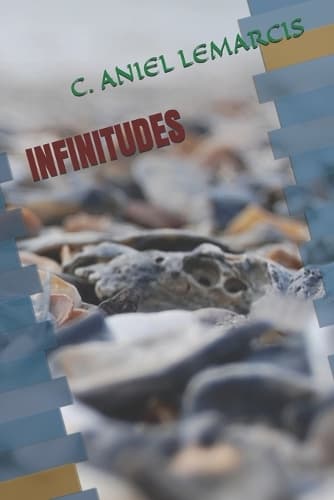 Cover of Infinitudes