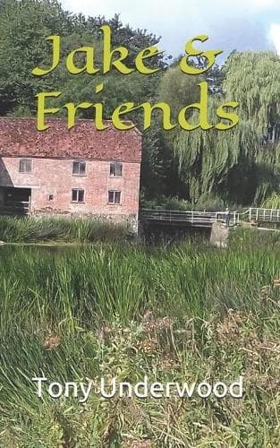 Cover of Jake & Friends