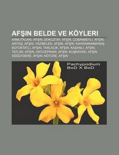 Cover of AF in Belde Ve Koyleri